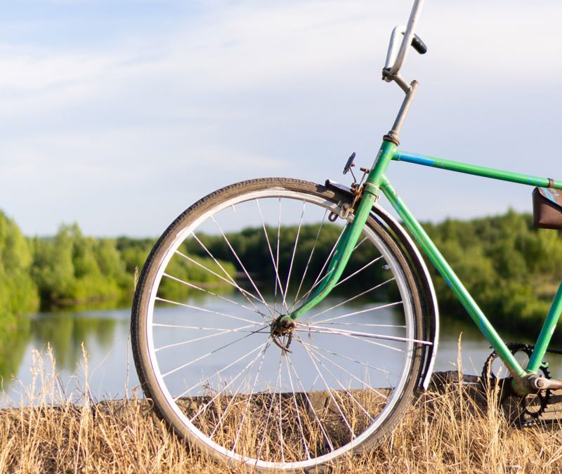 Gîte à l'Ombre du Saule - Vélo