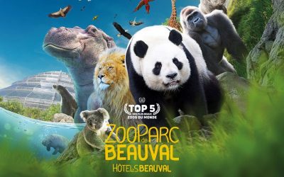 Le ZooParc de Beauval